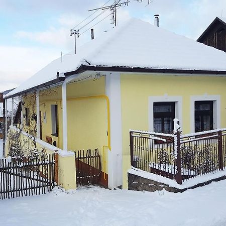 Lately Renovated Country House Trenčín Εξωτερικό φωτογραφία