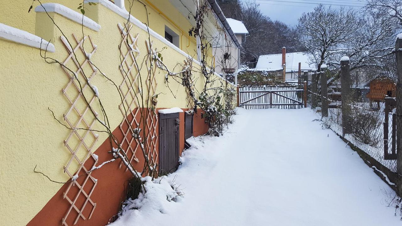 Lately Renovated Country House Trenčín Εξωτερικό φωτογραφία